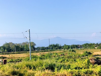 Ambari Falakata