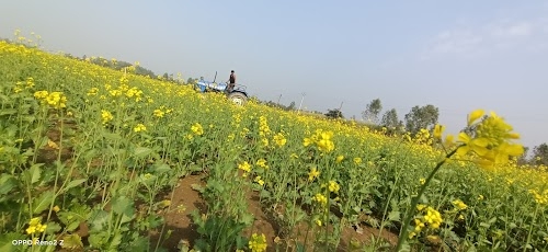 Kutub Nagar