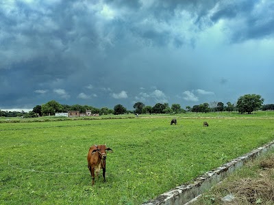 Newadhiya