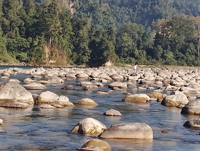 Bhalukpong Picnic Place