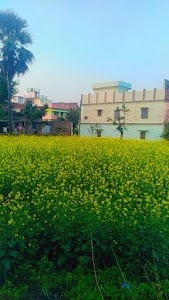 Kali Mandir Apadadiya