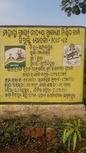 BANAMALI MANGO PLANT