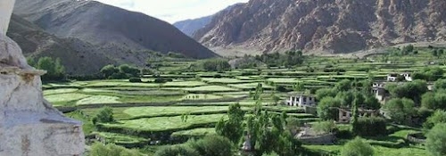 Hemis Shukpachan