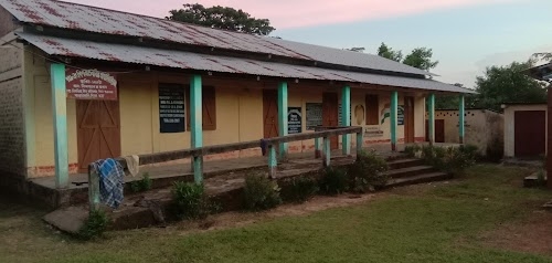 Piplagool LP School