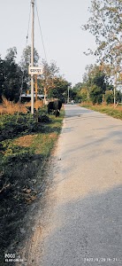 Chamrupur (Satnapur) Ayodhya? Uttar Pradesh