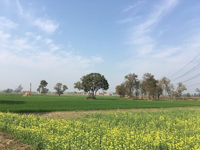 Pokhar Bhinda