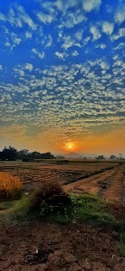 Baghni Baag