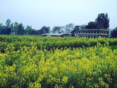 Harigarh