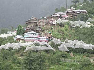 Kadiwan