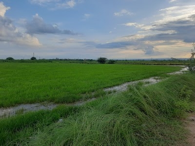Tarakpur