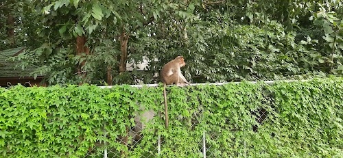 Vanasree Ecoshop, Palaruvi Ecotourism Centre