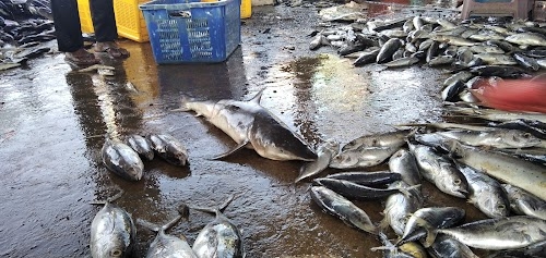 Fish Market, Begum Bazar, Afzal Gunj