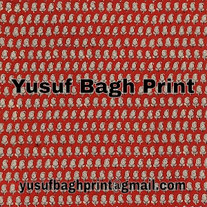 Yusuf Bagh Print