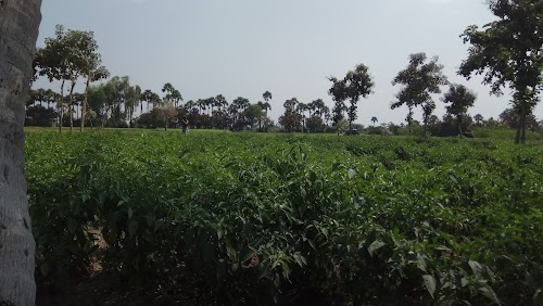 Melpallipattu