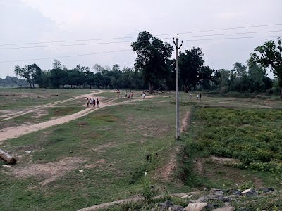 cricket ground
