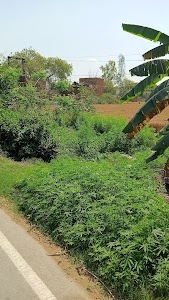 Ram mandir