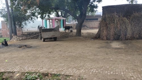 Niamatpur Bihari