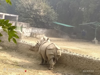 Chidiya Ghar