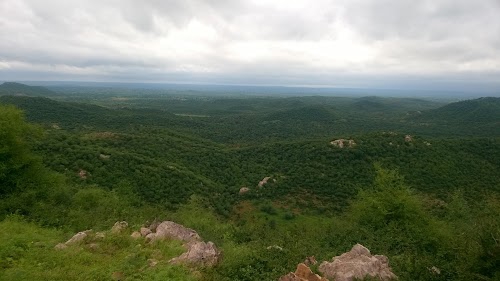 Kotdi