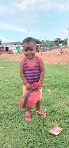 Mama dairy farm