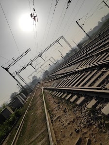Phulpur Station Pond