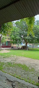 Mathura Prasaad College (M.P.D.C.Konch )