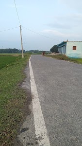 Duba