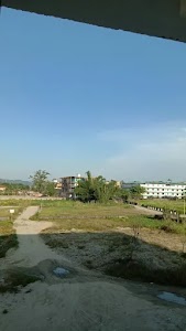 Tarajuli