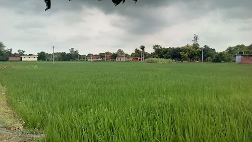 Arusabhar