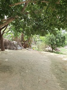 Chitawali