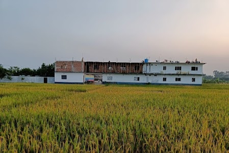 Voice Missionary School Gangarampur
