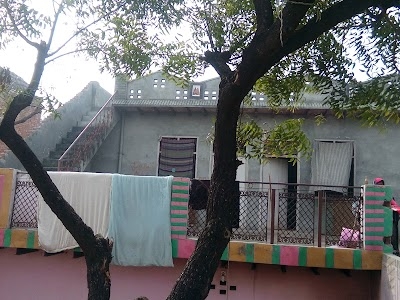 Sinauli