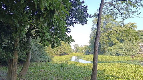 Jakaibowa