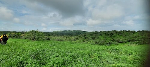 Khatiya