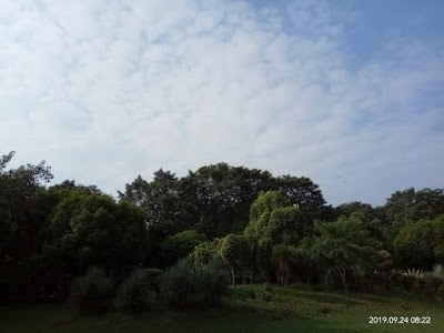 Yamaha Vihar Colony