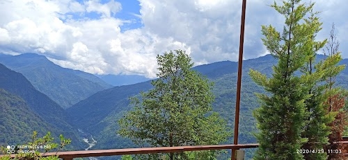 Lingi
