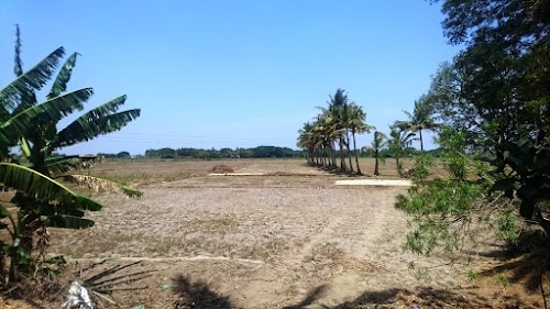 Turintira