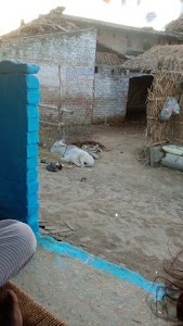 Udaypur Khakhra
