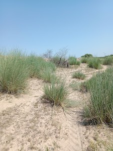 Nasnoda