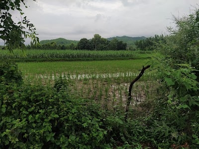 Bhagwanpur