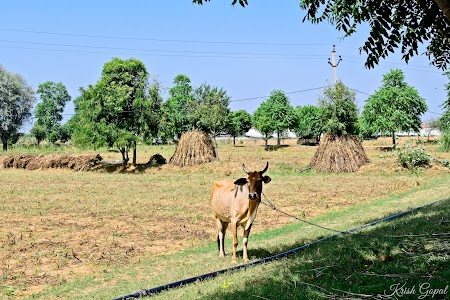 Bishanpura