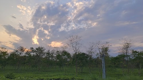 Ground