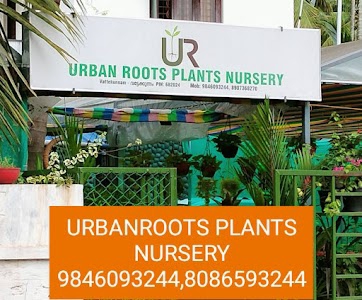 Urban roots plants nursery