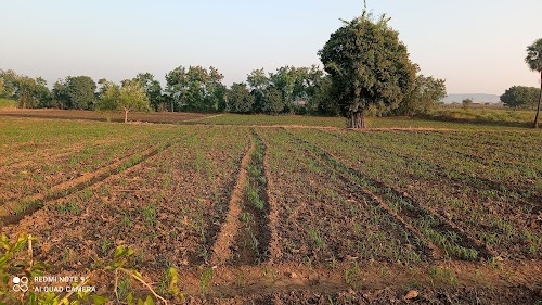 Navha