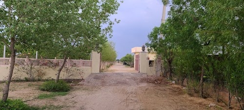 Shijit Farms shijit greens