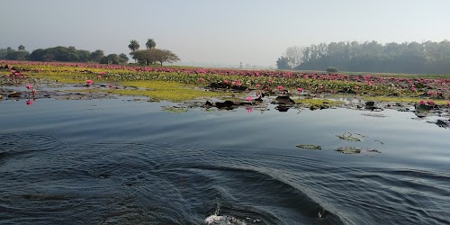 Gulawat