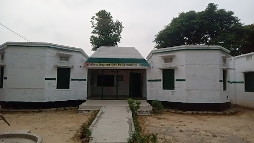 Primary School Paindi प्राथमिक विद्यालय पैड़ी