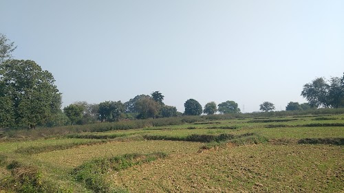 Kulhui