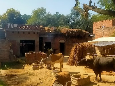 Jarpura
