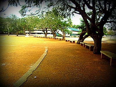 TVS Matriculation Higher Secondary School